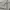 Spao Streetwear Y2K Hoody Pria gray photo 6