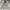 Spao Streetwear Y2K Hoody Pria Gray