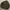 Gorpcore Minimalist Puffer Jacket Pria Black