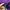 Streetwear Skater Hoody Pria purple photo 4