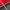Puma Streetwear Casual Bomber jacket Pria red black photo 8