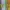 Odd Future Streetwear T-shirt Pria multicolor photo 5