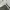 Adidas Streetwear Casual Hoody Pria silver photo 5