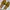 Minimalist Muslim Sandals & slide Wanita purple yellow photo 3