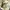 Dickies Streetwear Reworked Bag Pria tan cream photo 4