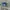 Y2K Casual Hat Wanita blue photo 2