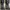 Uniqlo Streetwear Casual Jeans Pria multicolor photo 8