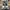 Converse Streetwear Y2K Sneakers Wanita white black photo 1