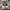 Converse Streetwear Y2K Sneakers Wanita White Black