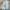 Streetwear Y2K Jeans Pria multicolor blue photo 5
