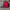 Nike Air Jordan Y2K Casual Hat Pria multicolor photo 5