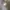 AMI Paris Streetwear Hoody Pria gray photo 1