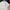 Beverly Hills Polo Club Luxury Minimalist Polo shirt Pria white photo 3