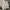 Converse Casual Suit Pria white photo 1