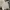 Converse Casual Suit Pria White