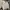 Converse Casual Suit Pria White