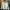 Converse Casual Suit Pria white photo 4