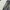 The Real McCoy's Vintage Y2K Jeans Pria navy blue photo 8