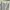 Love Bonito Casual Casual dress Wanita multicolor photo 2