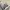 Love Bonito Casual Casual dress Wanita multicolor photo 3