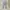 Love Bonito Minimalist Casual trouser Wanita white gray photo 1