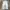 Streetwear Skater Wide leg jeans Wanita multicolor photo 1