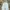 Streetwear Skater Wide leg jeans Wanita multicolor photo 5