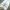 Streetwear Skater Wide leg jeans Wanita multicolor photo 3