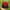 Stussy Vintage Streetwear Hat Pria red black photo 1