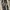 VANS Streetwear Skater Sneakers Pria white black photo 2