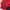 Converse Sportswear Casual Windbreaker Pria red photo 7