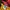 Adidas Vintage Y2K Short Wanita red yellow photo 3