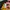 Adidas Vintage Y2K Short Wanita red yellow photo 4