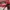 Chase Nascar Vintage Sportswear Hat Pria red photo 4