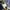EDWIN Vintage Y2K Casual pants Pria blue photo 4