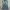 Vintage Jeans Pria blue photo 2