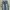 Vintage Jeans Pria blue photo 3