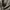Snow Peak Gorpcore Sweater Pria green photo 4