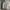 Carhartt Streetwear T-shirt Pria gray photo 1