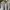 Carhartt Streetwear T-shirt Pria gray photo 2