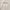 Coquette Casual Skirt Wanita white photo 4