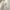 Coquette Casual Skirt Wanita white photo 3