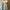 ZARA Minimalist Midi dress Wanita white photo 1