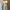 ZARA Minimalist Midi Dress Wanita White