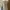 ZARA Minimalist Midi dress Wanita white photo 3