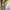ZARA Minimalist Midi dress Wanita white photo 4