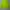 Carhartt Streetwear Skater Trench coat Pria green photo 1