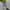 Carhartt Streetwear Skater Trench coat Pria green photo 4