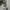 Carhartt Streetwear Skater Trench coat Pria green photo 5