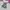 Fluke Skateboard Streetwear Skater Hoody Pria gray photo 8